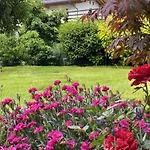 M Apartment Aschau Im Zillertal