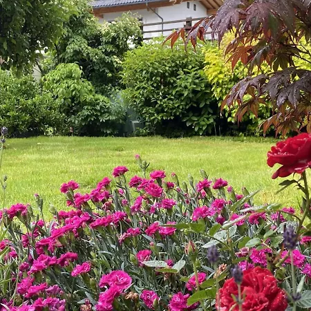 M Apartment Aschau Im Zillertal